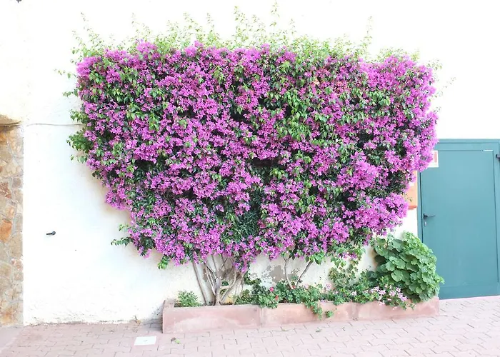 Blu Baita 3* Ла-Маддалена